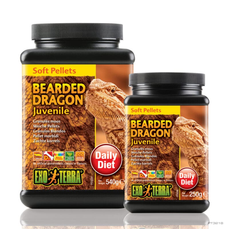 Adult Bearded Dragon Food