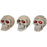 Skull-Gazers - Assorted Styles -