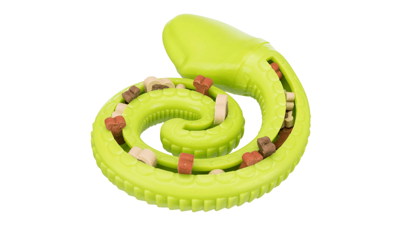 Snack-Snake coiled